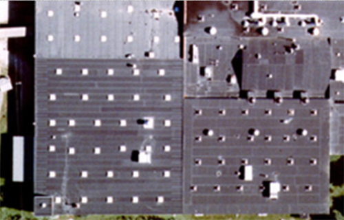 daytime roof