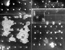IR Roof